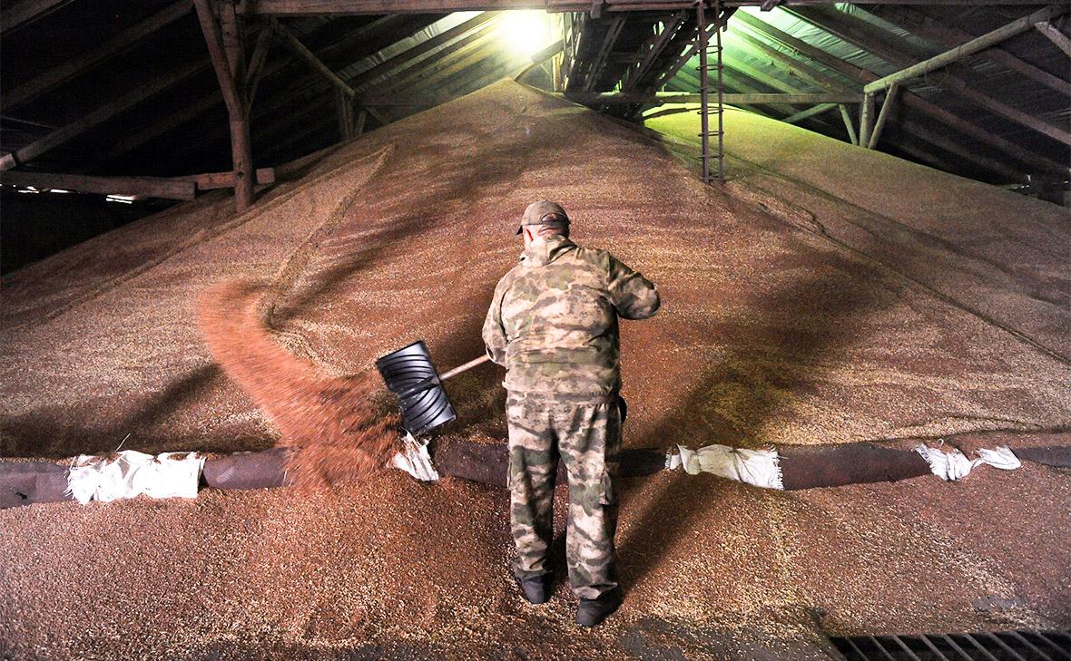 Лавров фразой «на нуле» оценил состояние российской части зерновой сделки
